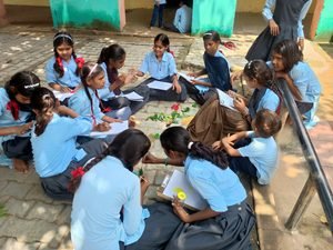 Education & Skill Development